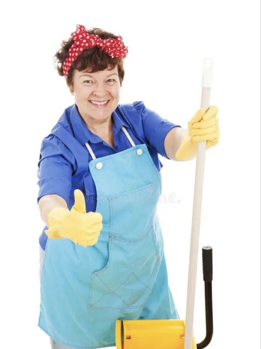 Servicii de curatenie civila si industrială