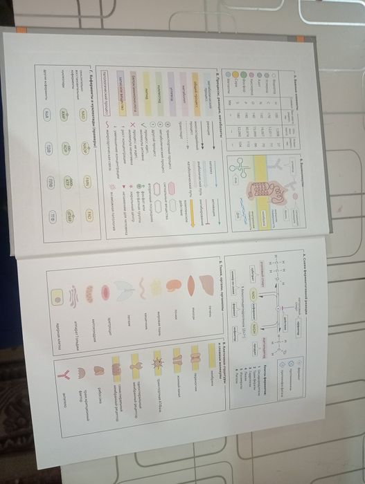 Медицинская биохимия