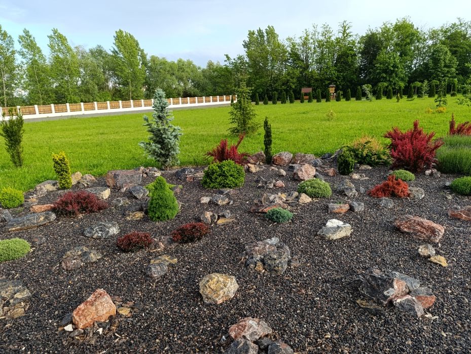 Irigații plante ornamentale