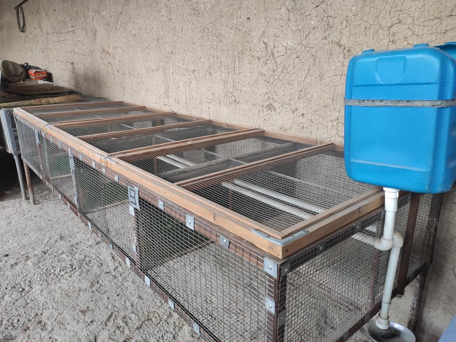Клетка для Кролика и цыплят.