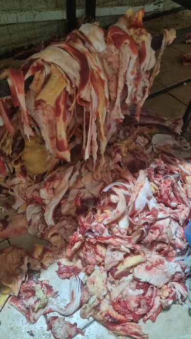 Отход для собак.