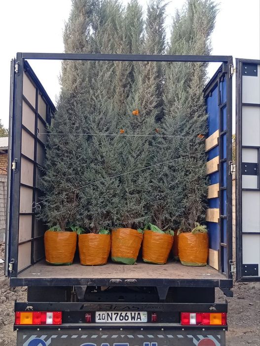 Газель юк ташиш хизмати Gazel yuk tashish xizmati грузоперевозки газел