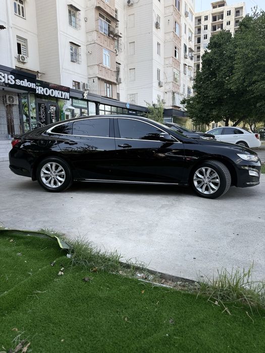 Malibu 2 Primer 2020