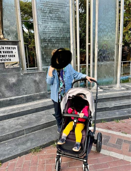 Carucior Bugaboo Cameleon 3 Plus