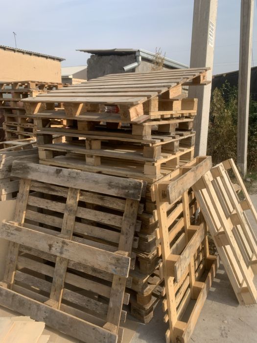 Paddon yevro rassiya