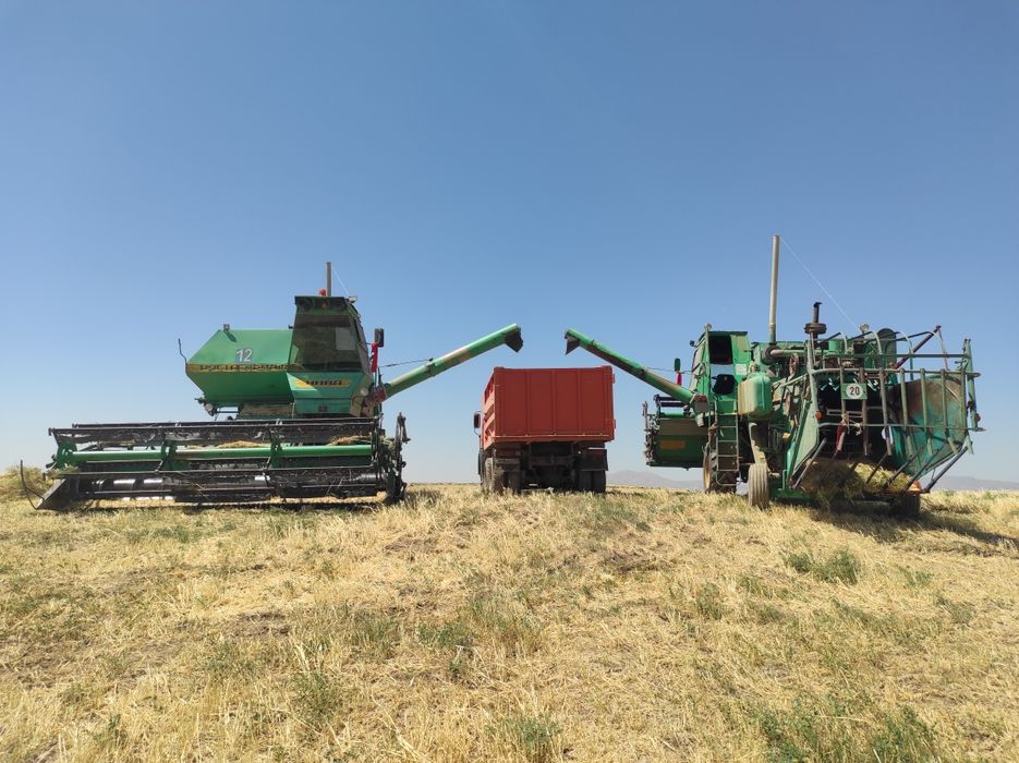 Комбайн нива эффект