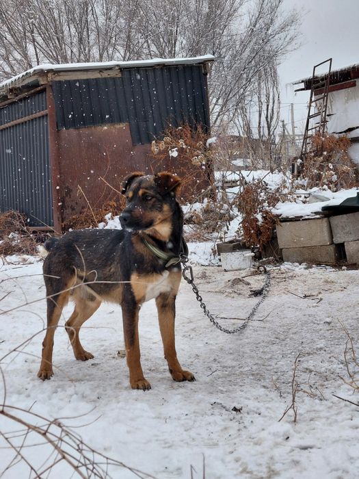 Ягтерер очень хорошый