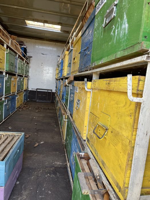 Vand pavilion cu 66 de stupi!!