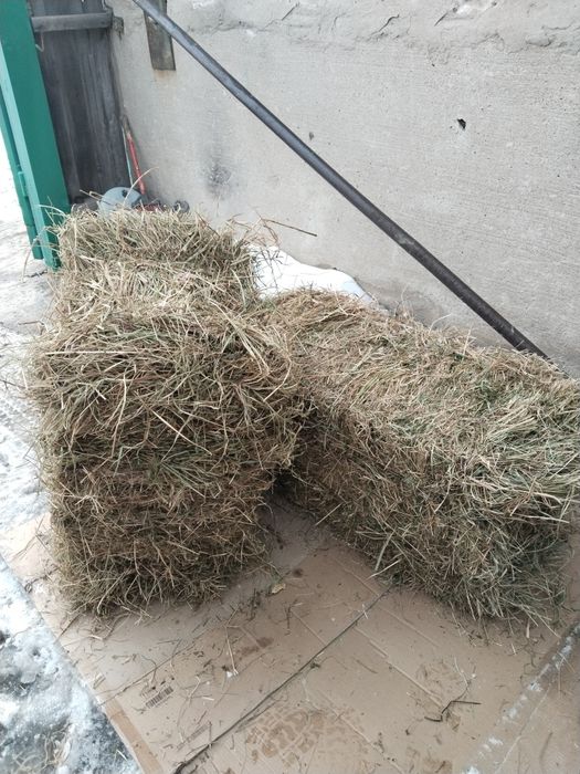 Продам сено тюкованое