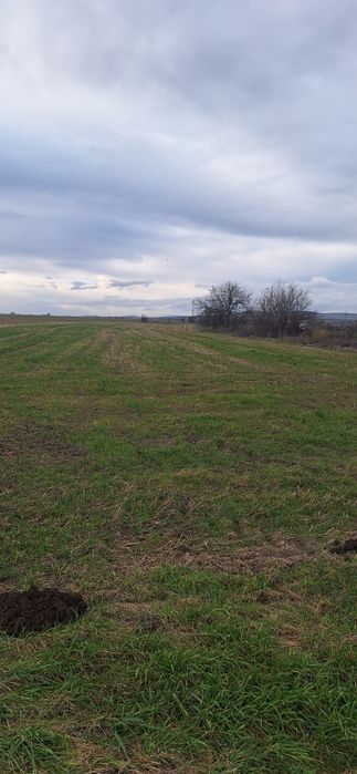 продавам  упи село Найден Герово