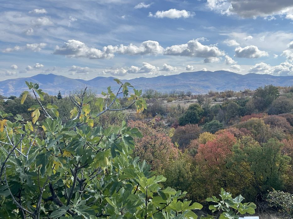 Вила село Прилепци