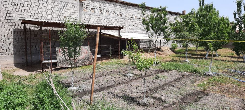 Продается участок, Барданкуль, 10 соток