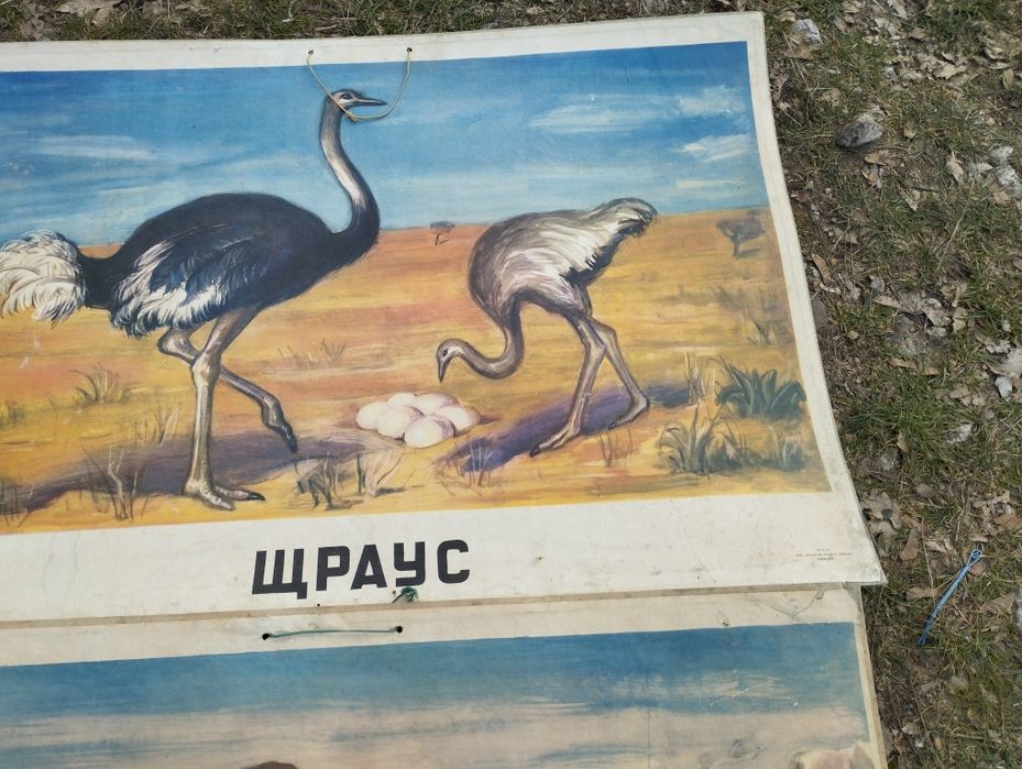 Стари учебни пана