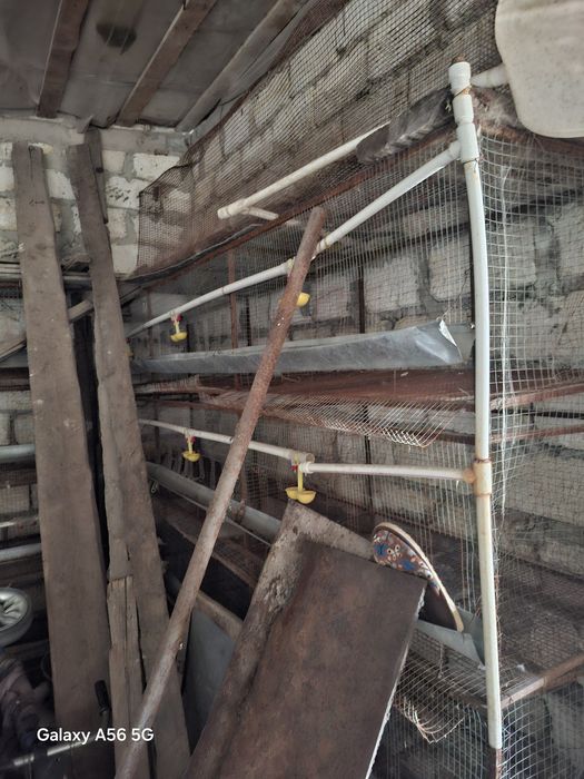 Продам сетки для куриц