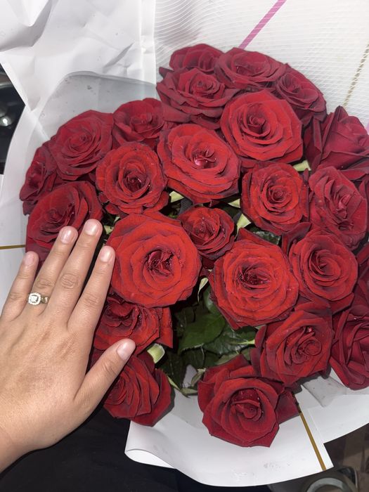 Роза 25 штук свежый