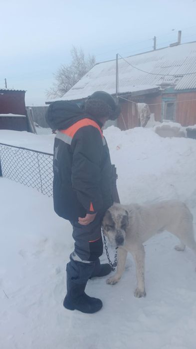 Отдам в хорошие руки