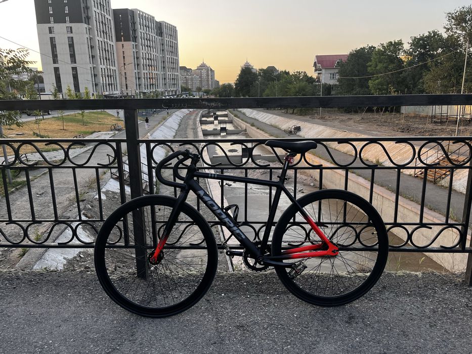 Fixead gear ( modric)