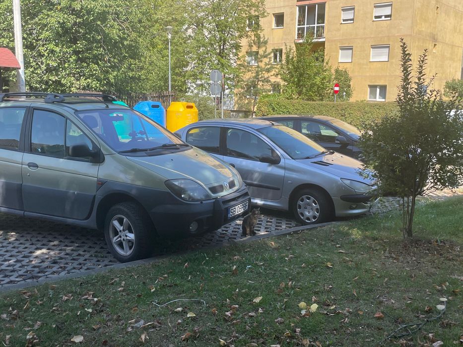 Renault Scenic Sx4 4x4