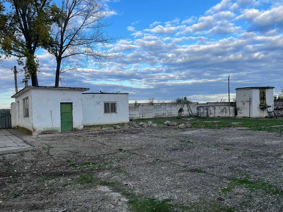 Hala industriala de inchiriat/vanzare