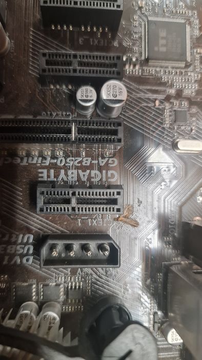 Дъно гигабайт B250