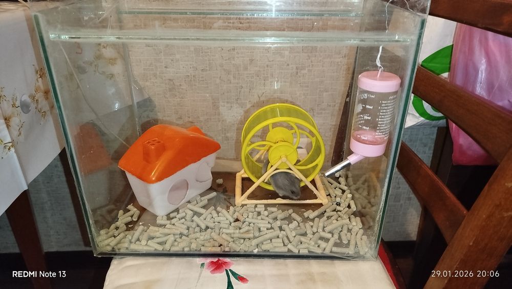 Набор для хомячков