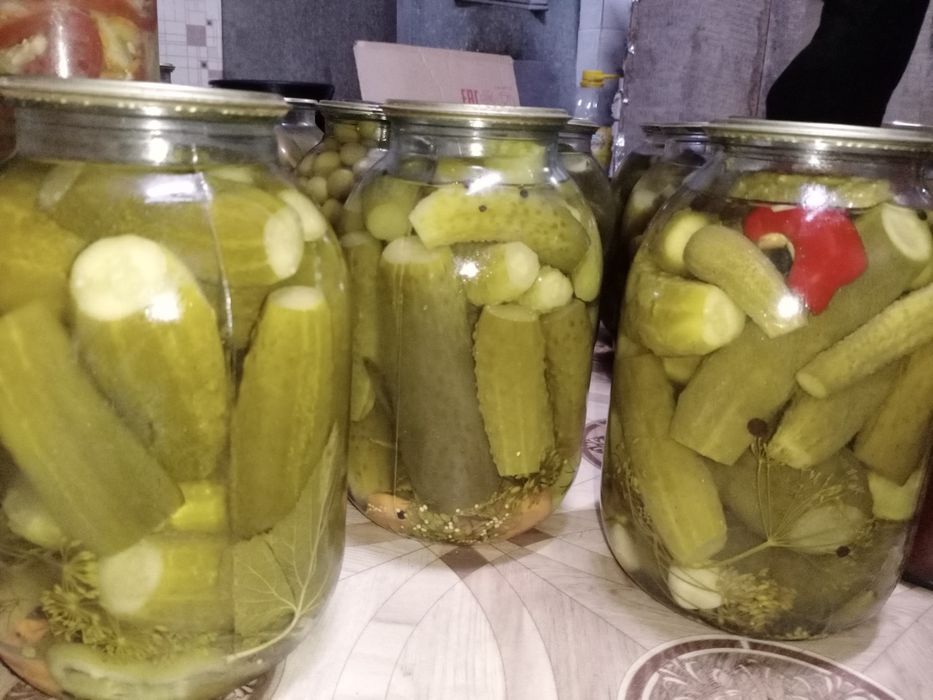 Огурцы домашние!