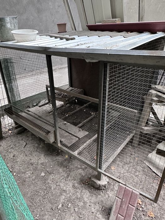 Tovuqlar joʻjalari bilan va maxsus yasalgan katak kalitkasi sotiladi.