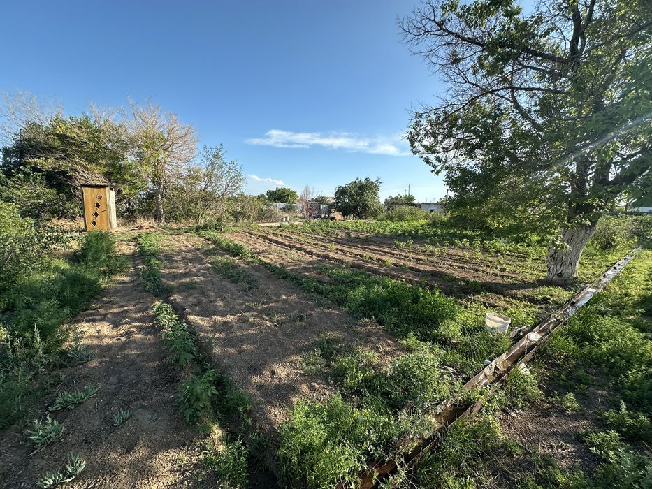 Продается дача на 1 водоколонке