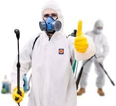 Тараканы уничтожение от 10000