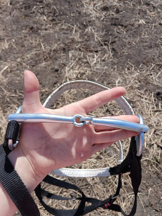 Уздечка для лошадей