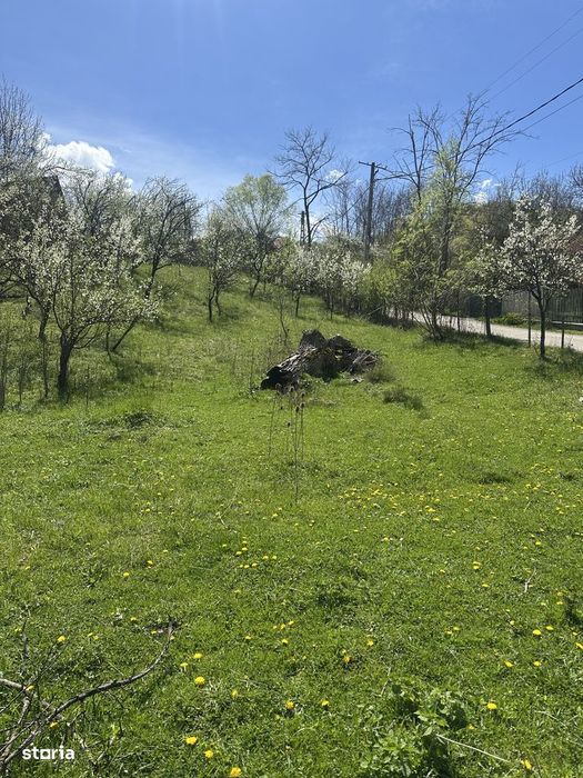 Provița de Jos - teren intravilan 2035mp - 13 Euro/mp