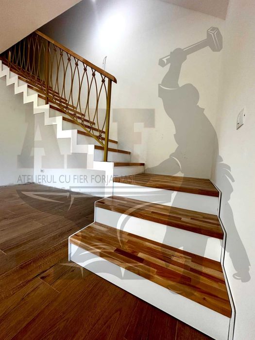 Scari interior + balustrada