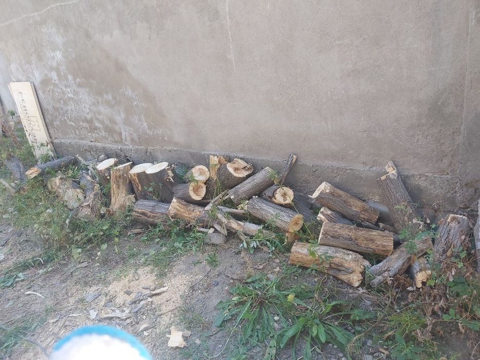 Продам дрова из клена рубленые