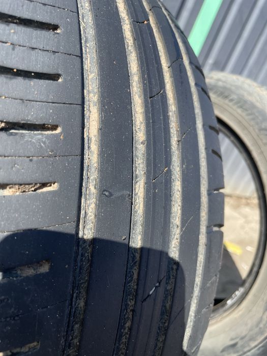 215/55 r17 кардиант