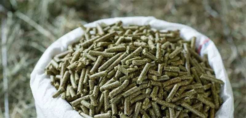 Грануляторы с Горантии в Казахстане