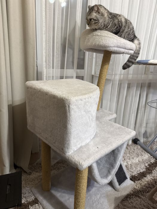 Кошачий домик, домик для кошки