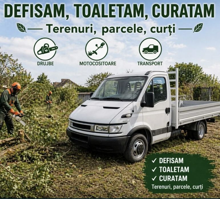 Amenajări curți și grădini | Defrișări, demolări și reparații casnice