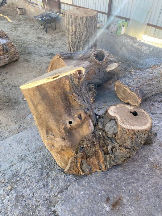 Чурбак ет шабатын сатылады