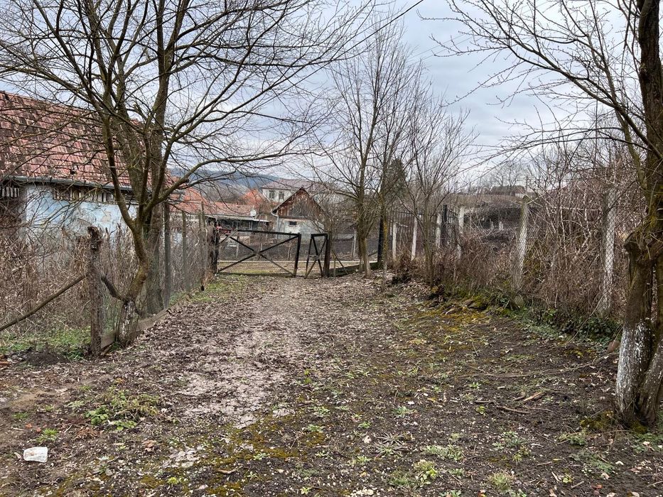 Proprietate centrala de vanzare in Hoparta - 2543 mp
