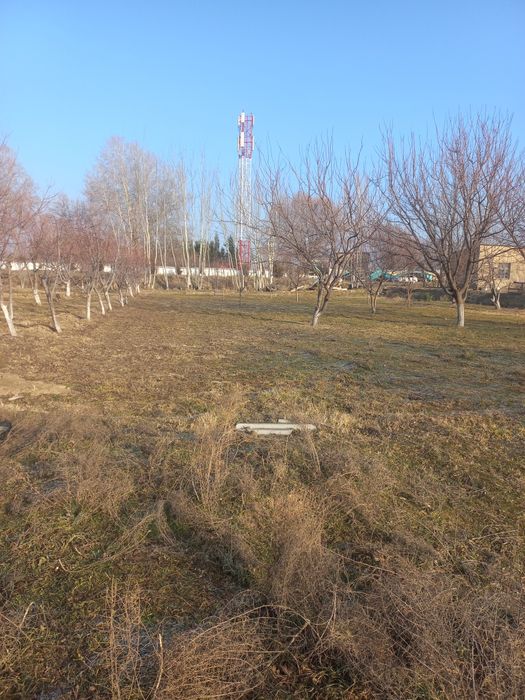 Тохиршайх МФЙ Тохиршайх