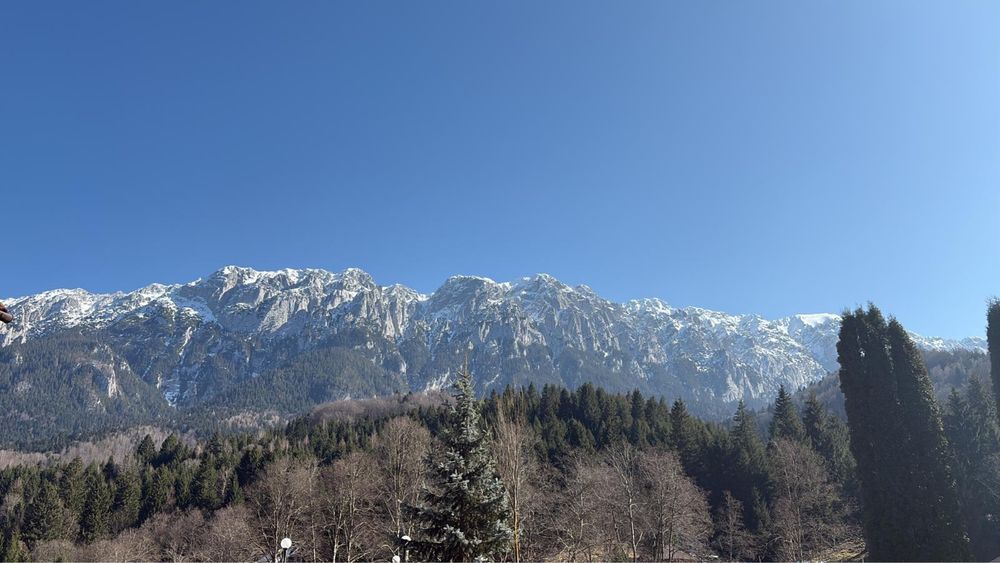 Teren extravilan Vulcan - zona cabane