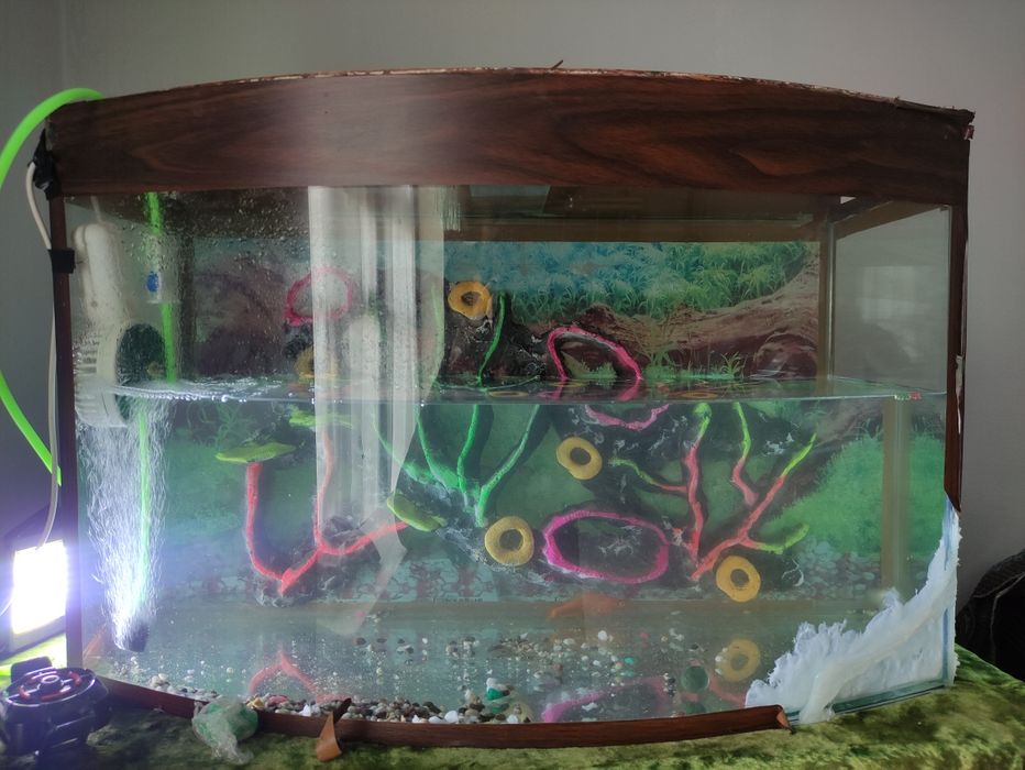 Аквариум олдида йорилган жойи ямалган сув  чикиб кетмайди