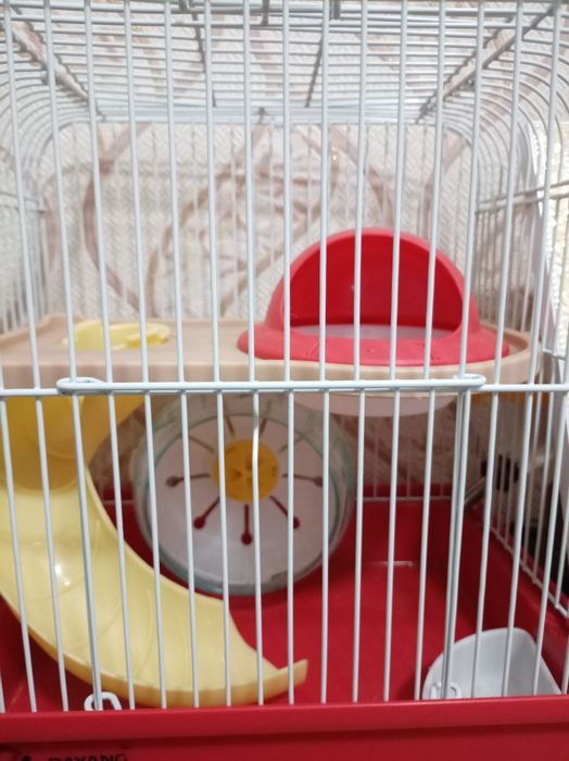 Клетка для джунгарского хомяка