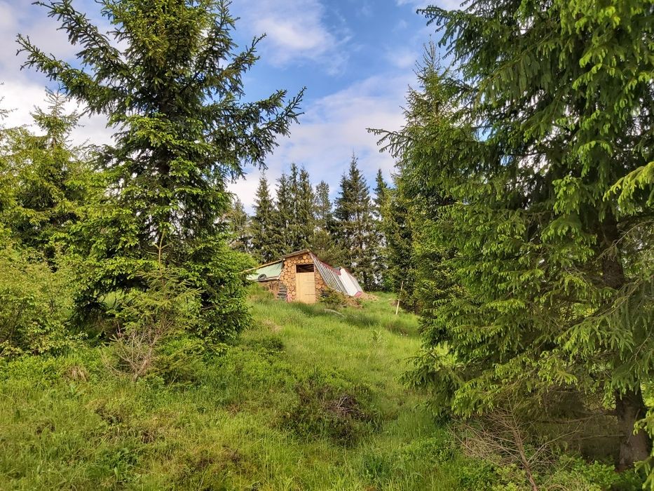 Casa, construcție, earthship.  Cabană.