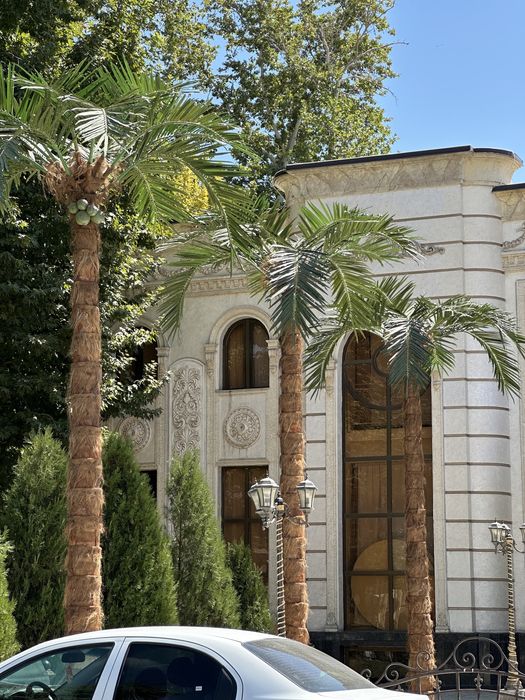 Farg‘onada  | Villa/restoran uchun lux suniiy palma 3m–8m — -30%