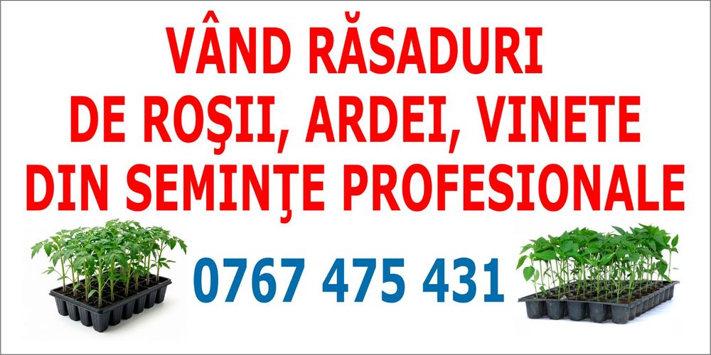Vând răsaduri!!!