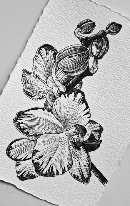 Нежни графични рисунки на цветя – ръчна изработка
