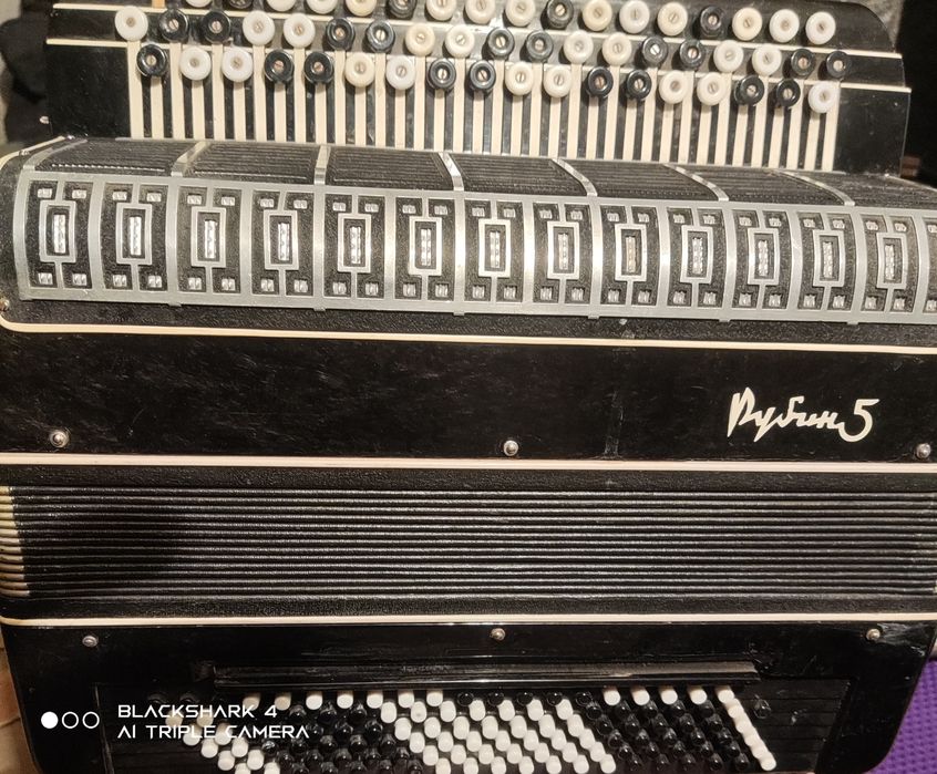 Рубин 5 Баян Выборный