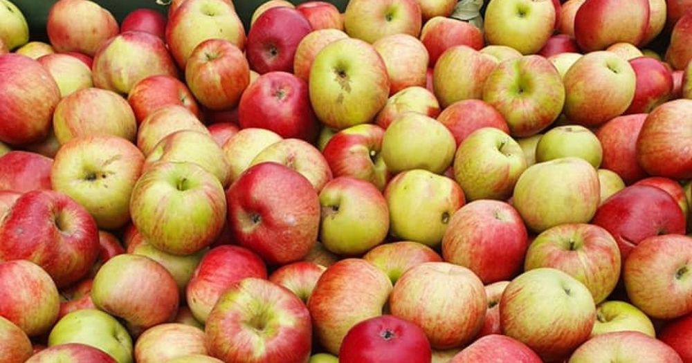 Mere Voinesti pentru masa si suc