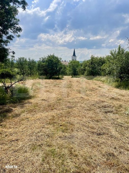 Teren intravilan 3.200 mp | Budacu de Jos | Deschidere la 2 drumuri as